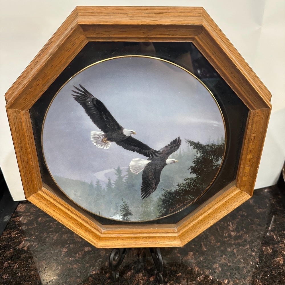 Wild Wings Above the Mist Bald Eagle Plate Persis Clayton Weirs 1994 Framed VTG